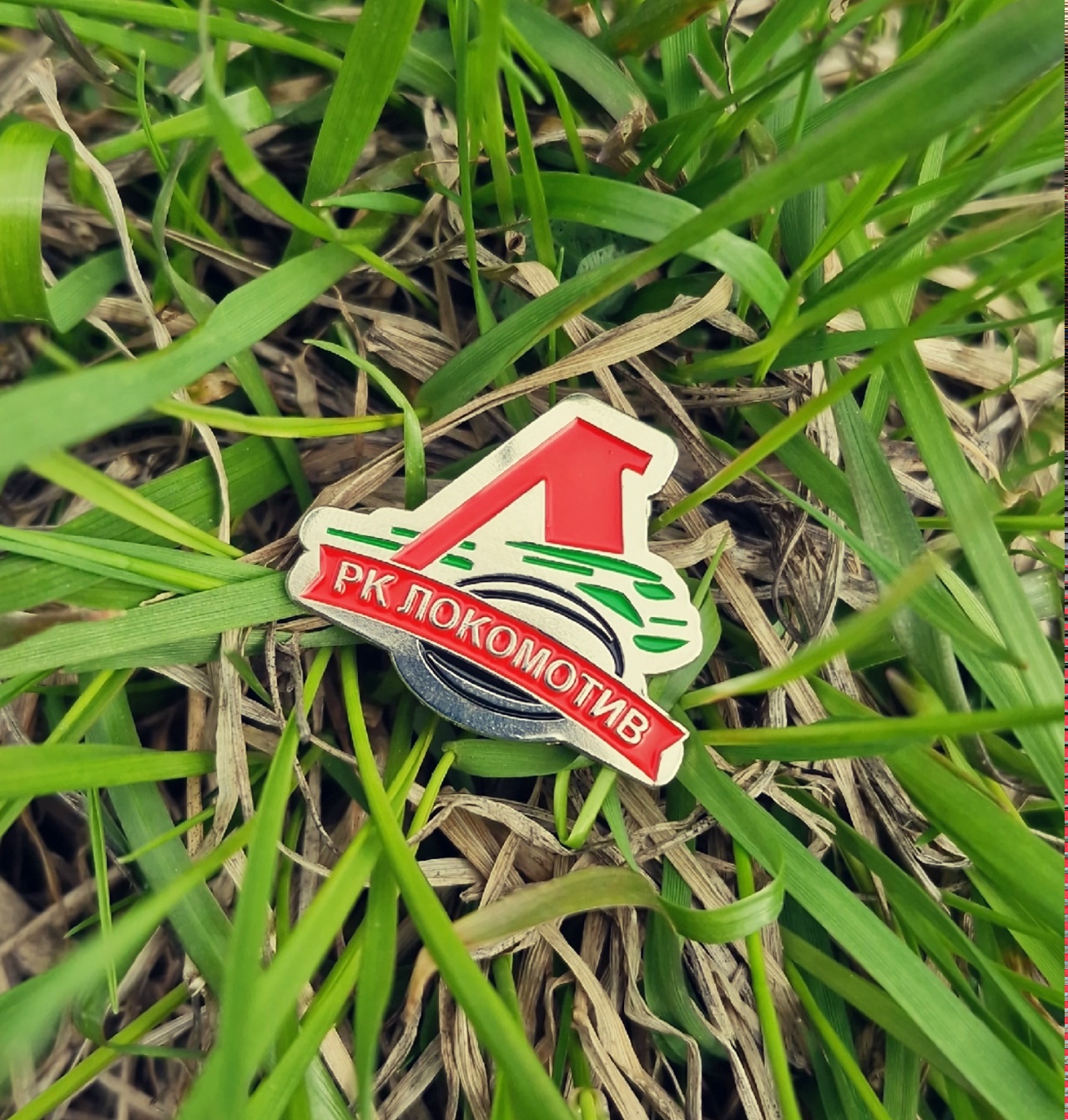 Главная страница